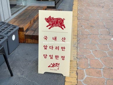 야저 사진 5