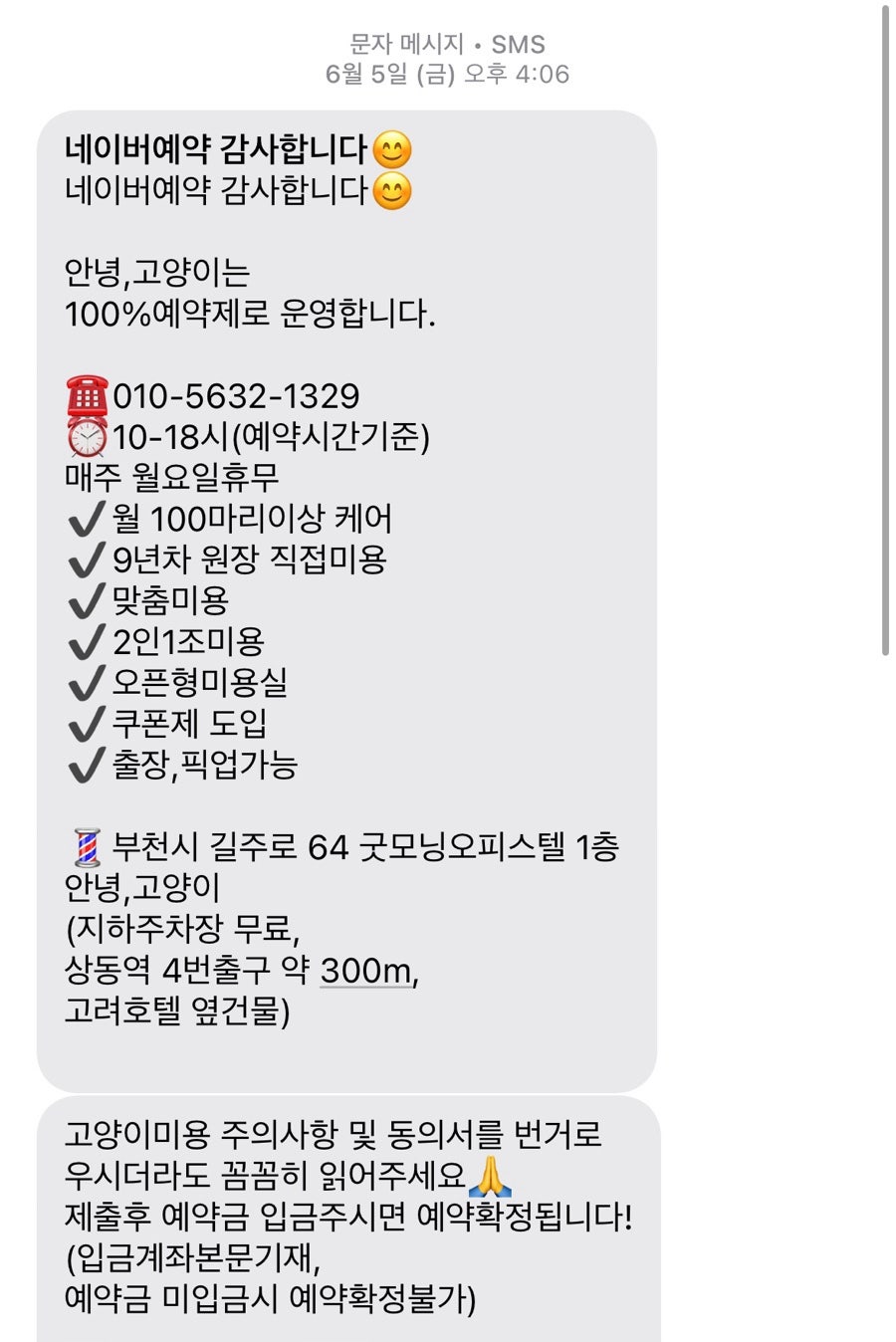 고양이 위생미용+목욕, 랙돌 7만원 솔직 후기 — 사진 4