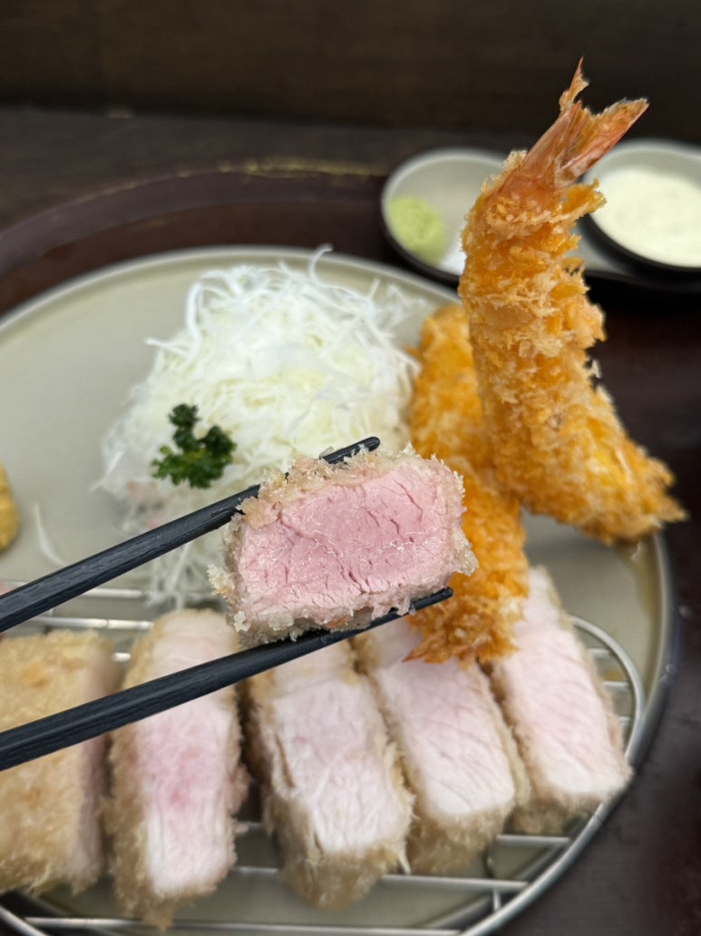 카츠모 사진 2