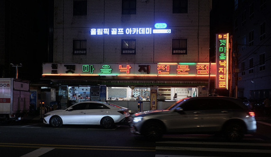 원조갯마을낙지전문점 사진 2