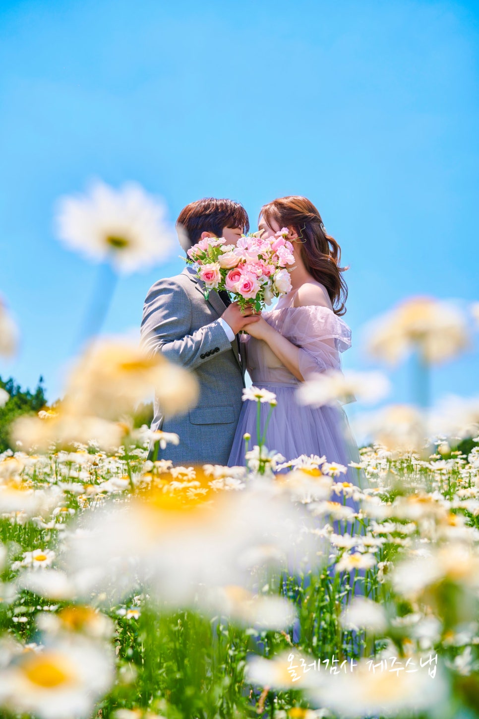 제주 웨딩스냅 5월 데이지 숲길 해변 화보 촬영 가격 — 사진 5