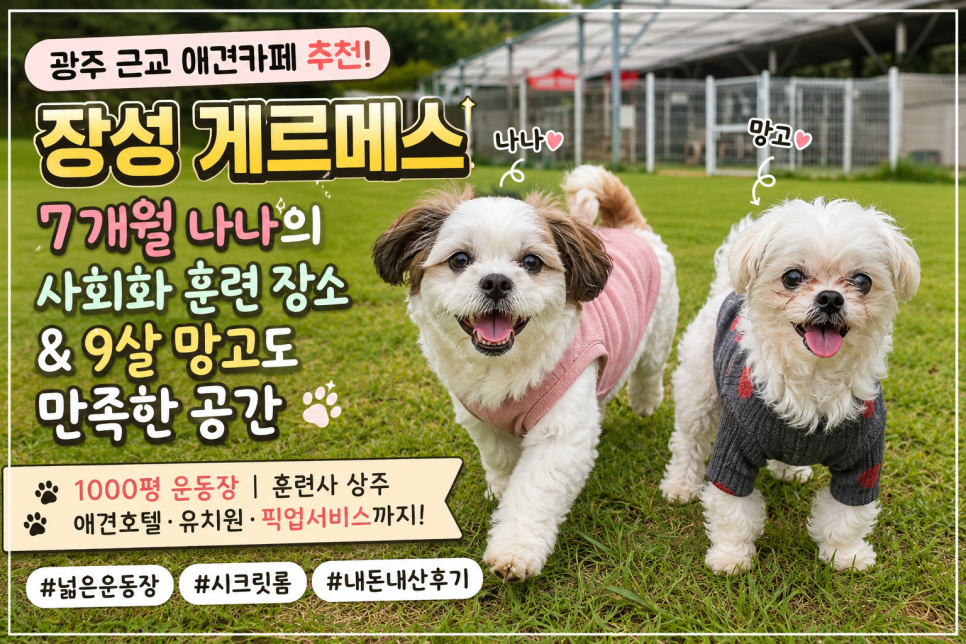 장성 게르메스 애견카페, 강아지 사회화 훈련과 휴식 모두 만족