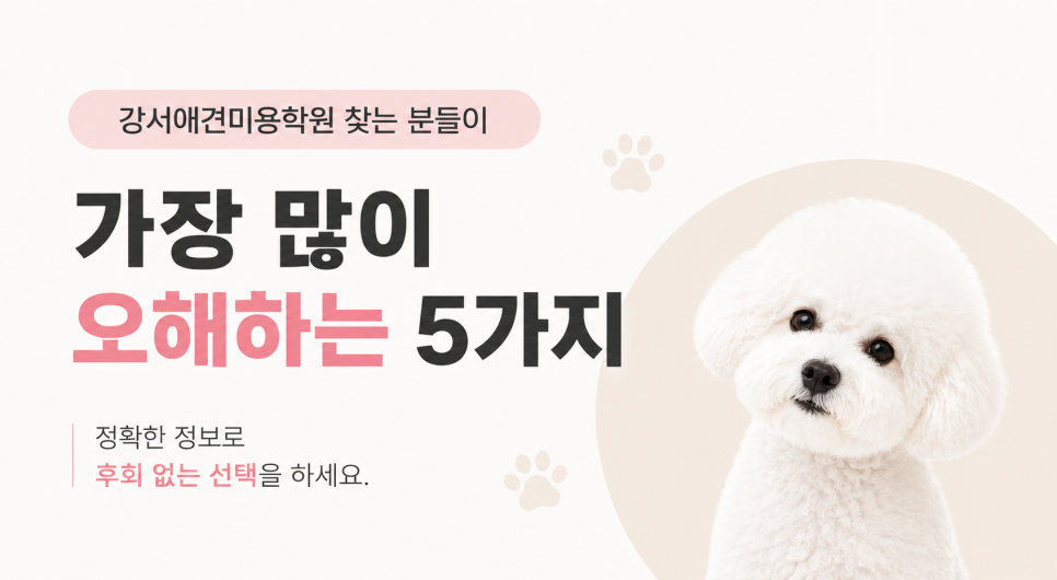 강서애견미용학원, 잘못된 오해 5가지와 올바른 선택법