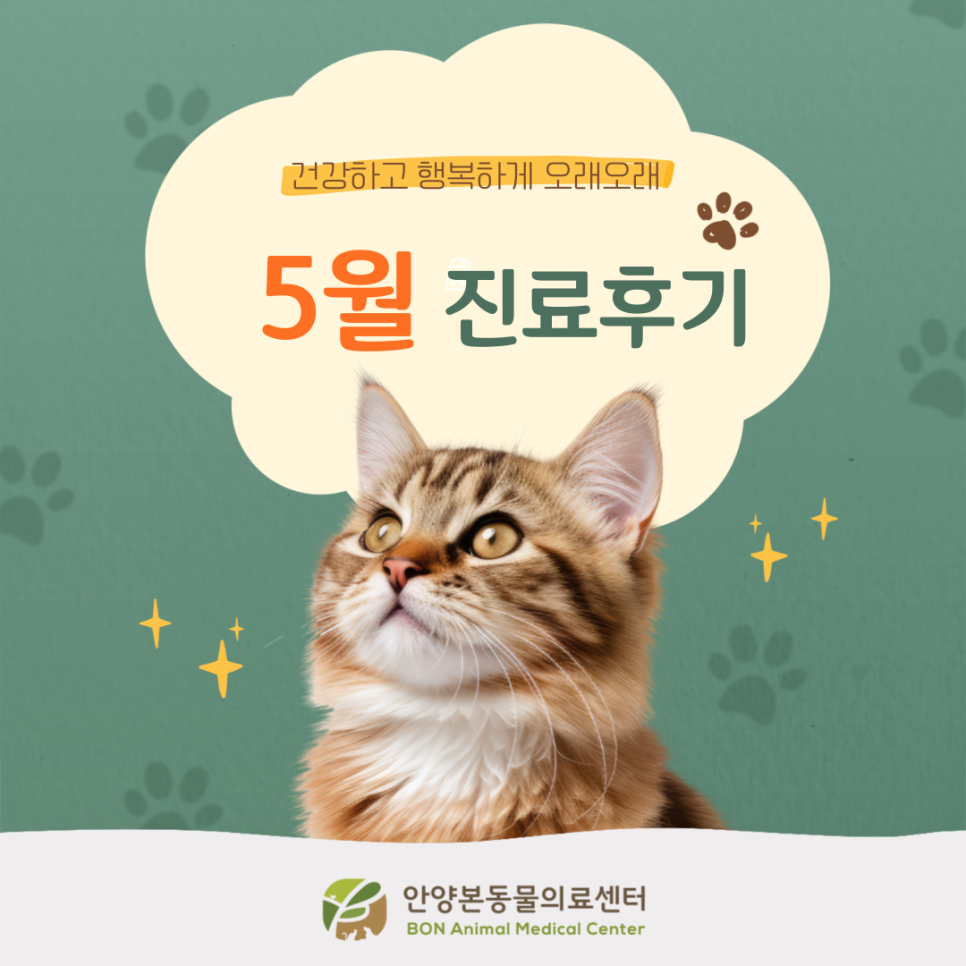 안양본동물의료센터 강아지 진료 후기 및 비용 안내