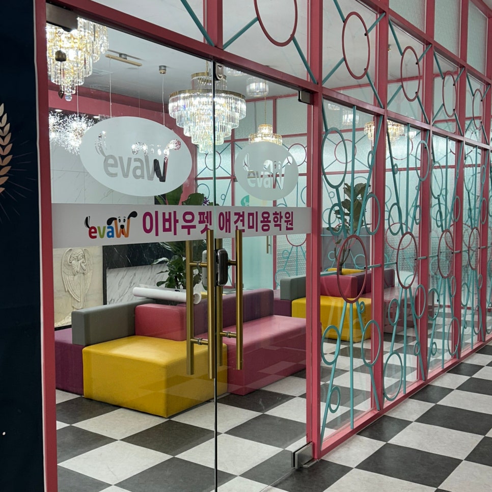 이바우펫 애견미용학원: 강아지 미용 교육 과정 및 비용 — 사진 14
