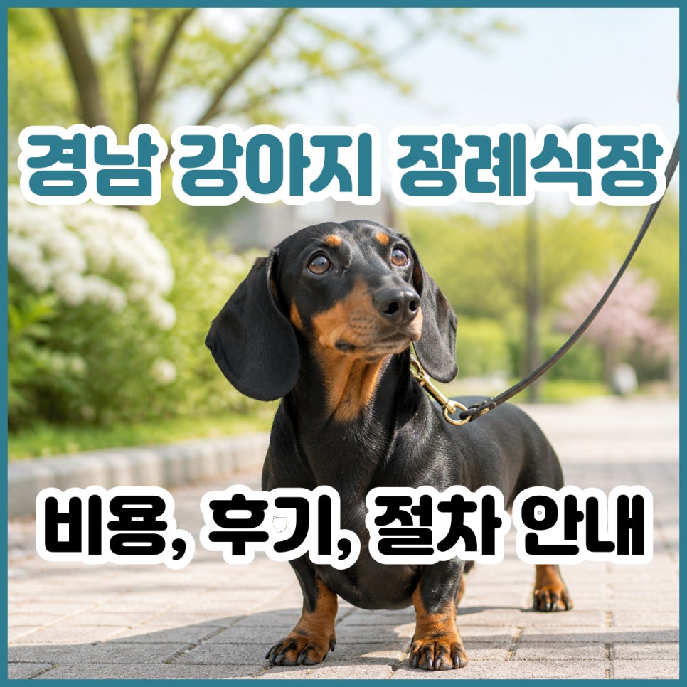 경남 강아지 장례 비용, 절차, 후기 완벽 정리