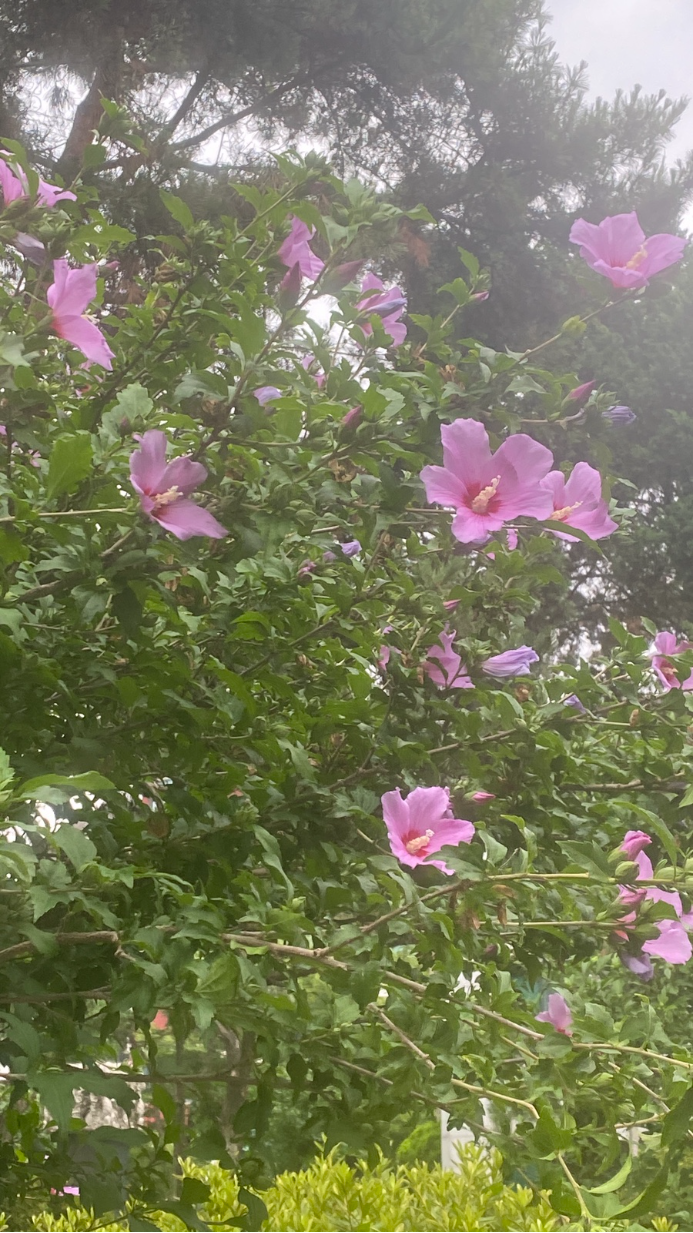 음주가의책방 사진 8