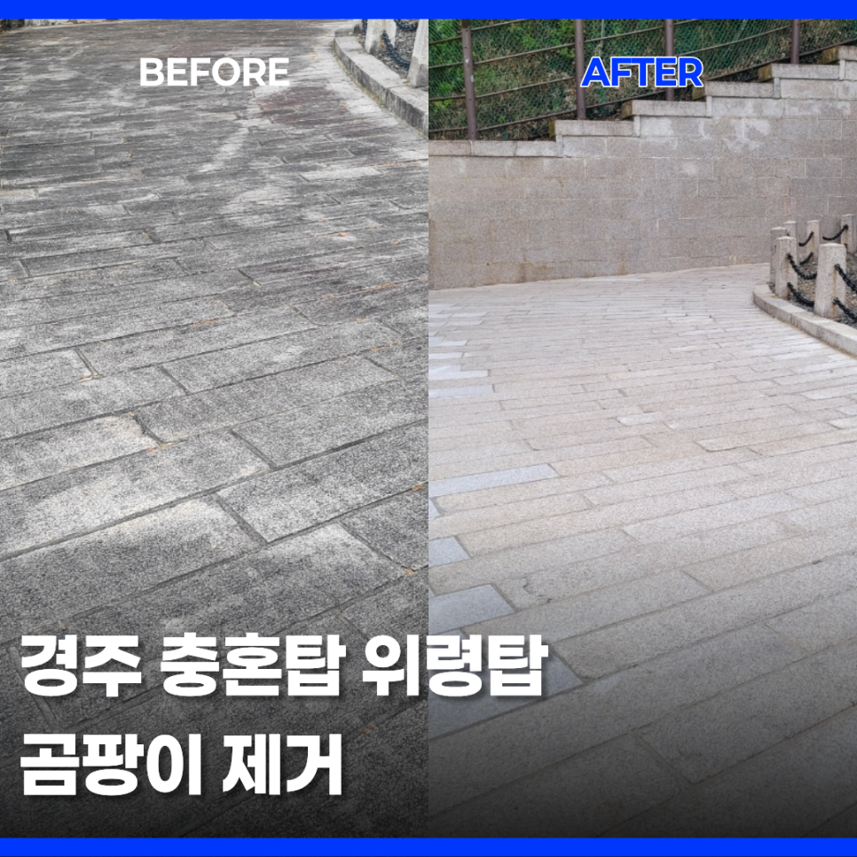 경주 충혼탑 곰팡이 제거
