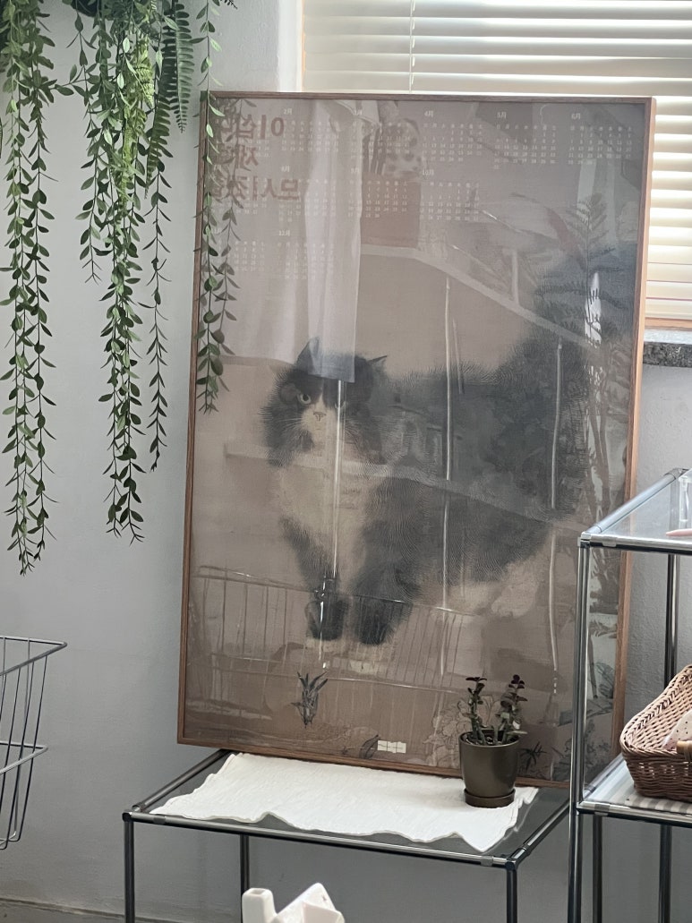 애몽 사진 3