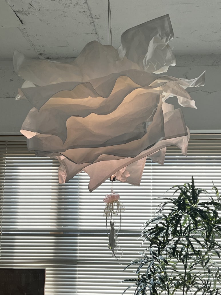 애몽 사진 2