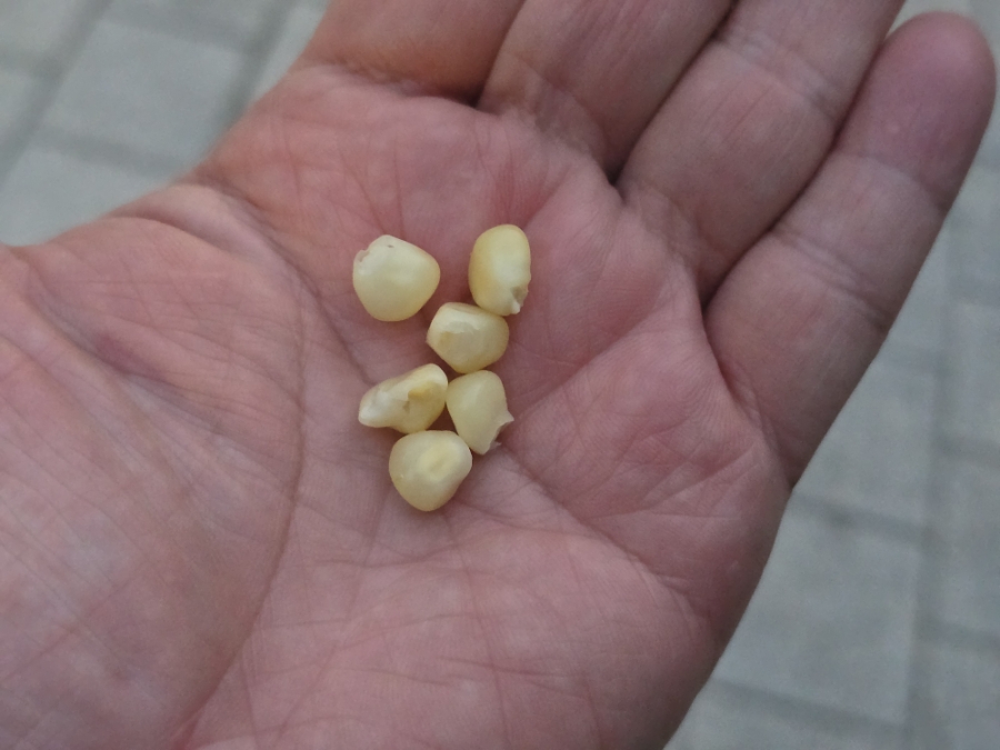 만나당 대표 사진
