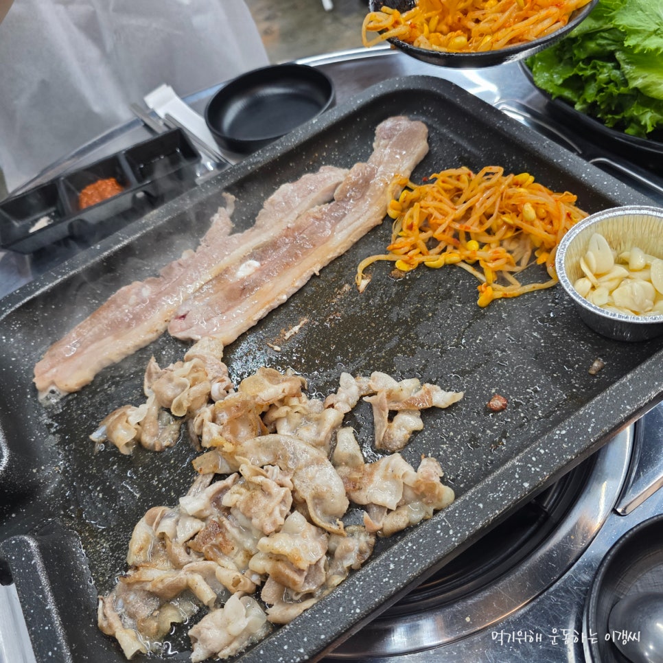 돈우연 사진 8
