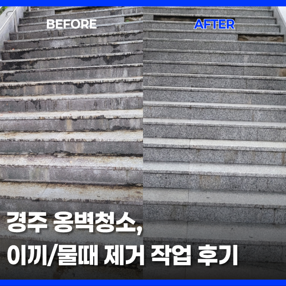 경주 학교 석재 계단 이끼 제거