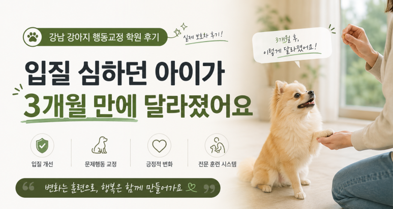 강아지 강남 강아지 행동교정, 입질 3개월 만에 해결 후기