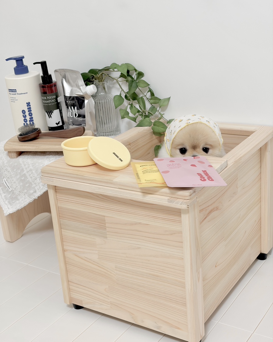 퍼티크 강아지 편백욕조 솔직 후기: 스파 목욕 팁 — 사진 2