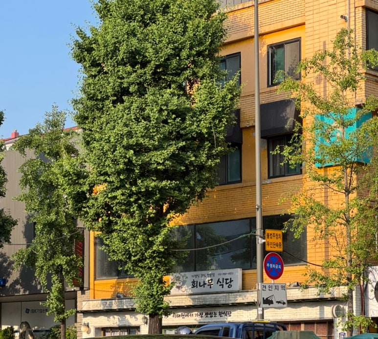 회나무식당 사진 4
