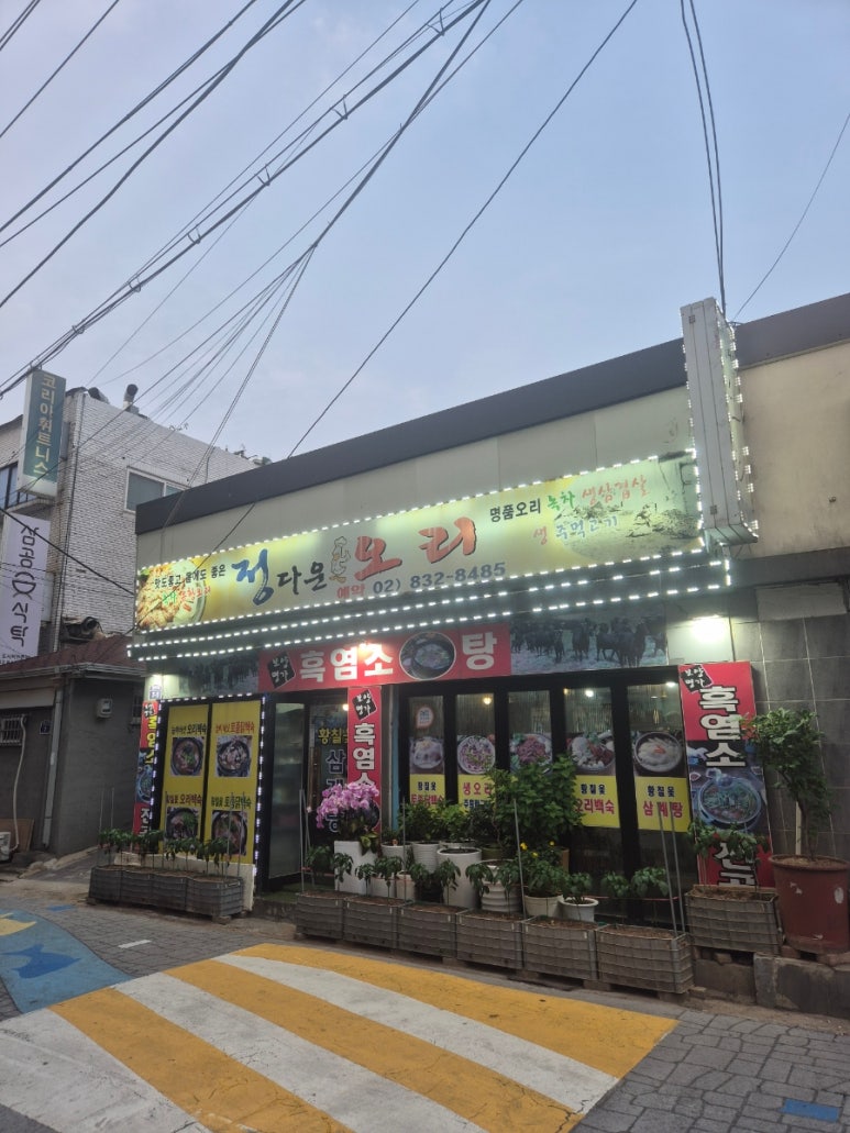 정다운오리 사진 4