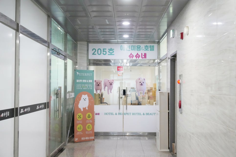 대구 동구 애견 유치원 슈슈네, 3회차 이용 후기 — 사진 3