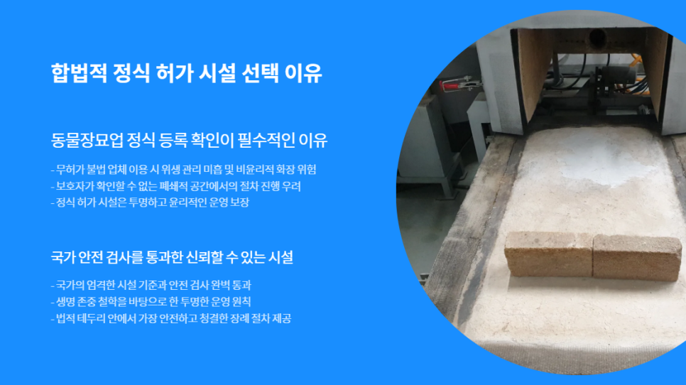 동탄 강아지 장례 화장 절차 및 비용 총정리 — 사진 3