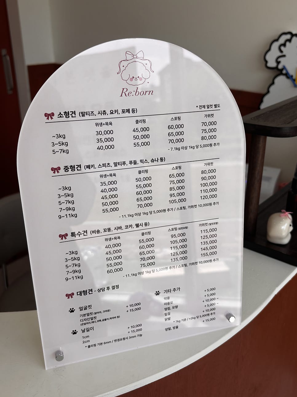 동탄 말티즈 미용, 리본펫 6mm 클리핑 후기 및 가격 — 사진 5