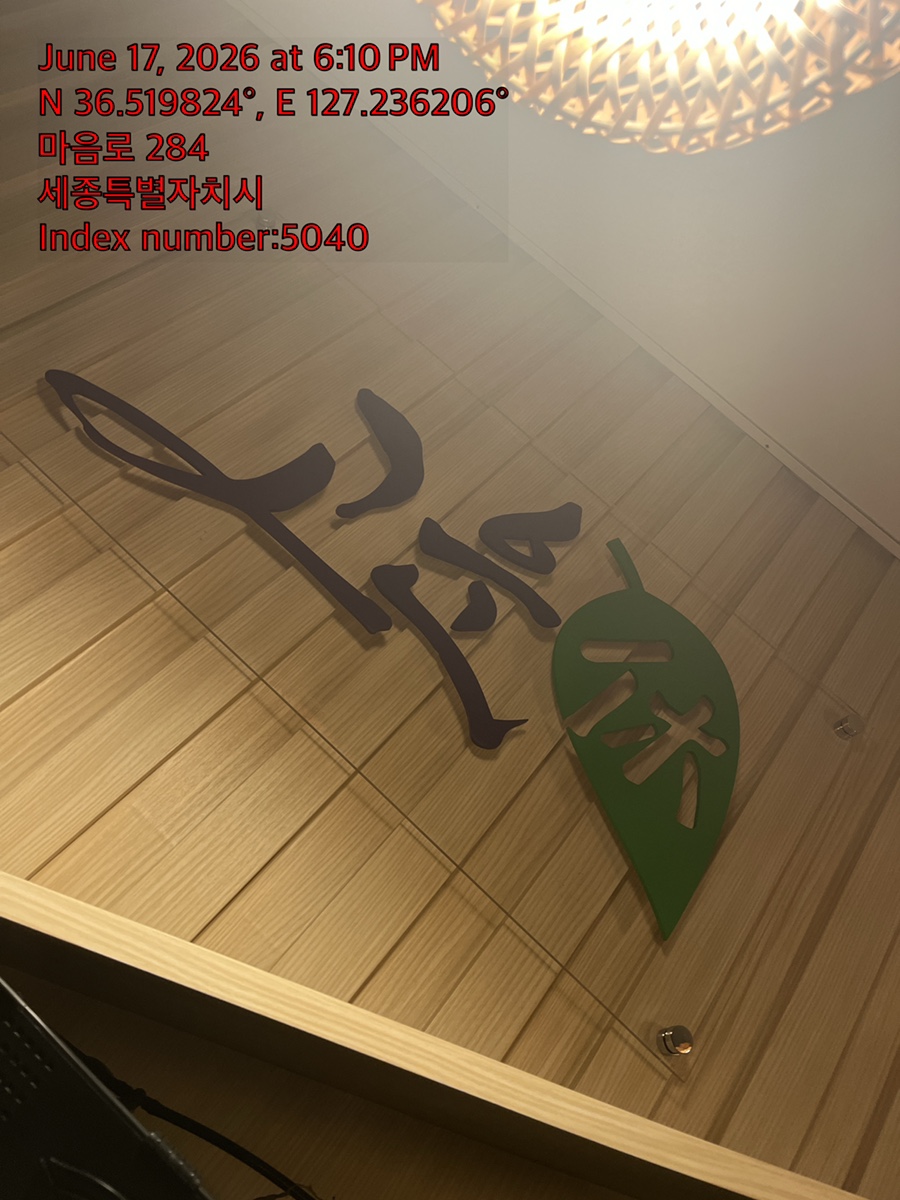 강아지 슬개골탈구 수술 비용 및 회복 과정 안내 — 사진 2