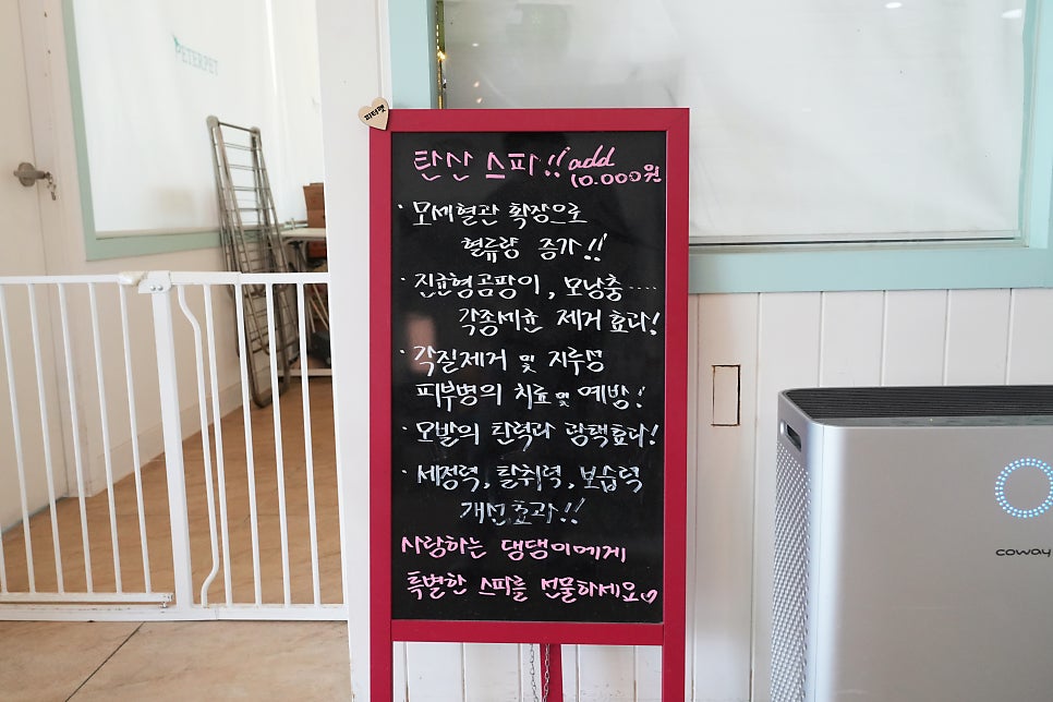 대구 동구 애견 유치원 슈슈네, 3회차 이용 후기 — 사진 11