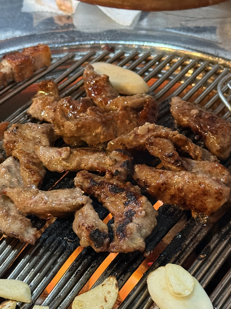 탄 사진 3