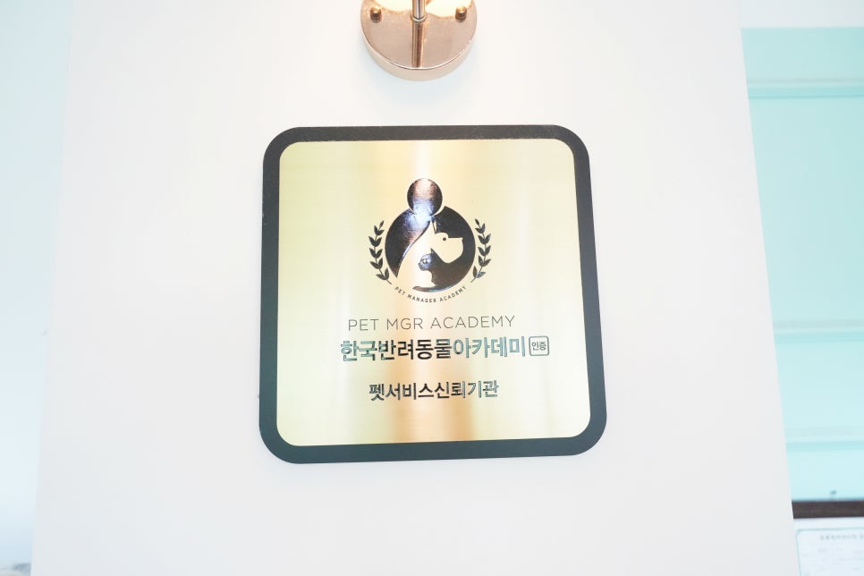 대구 동구 애견 유치원 슈슈네, 3회차 이용 후기 — 사진 15