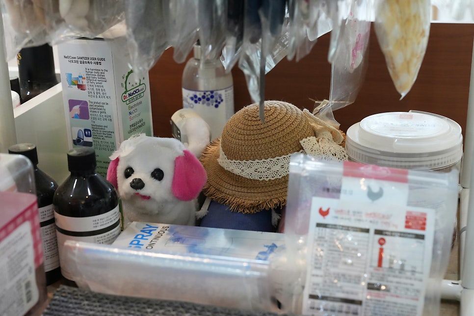 대구 동구 애견 유치원 슈슈네, 3회차 이용 후기 — 사진 13