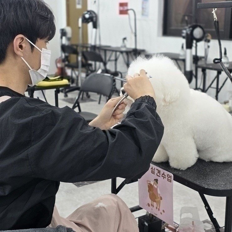 노원 애견미용학원, 주부 재취업 성공 후기 — 사진 4