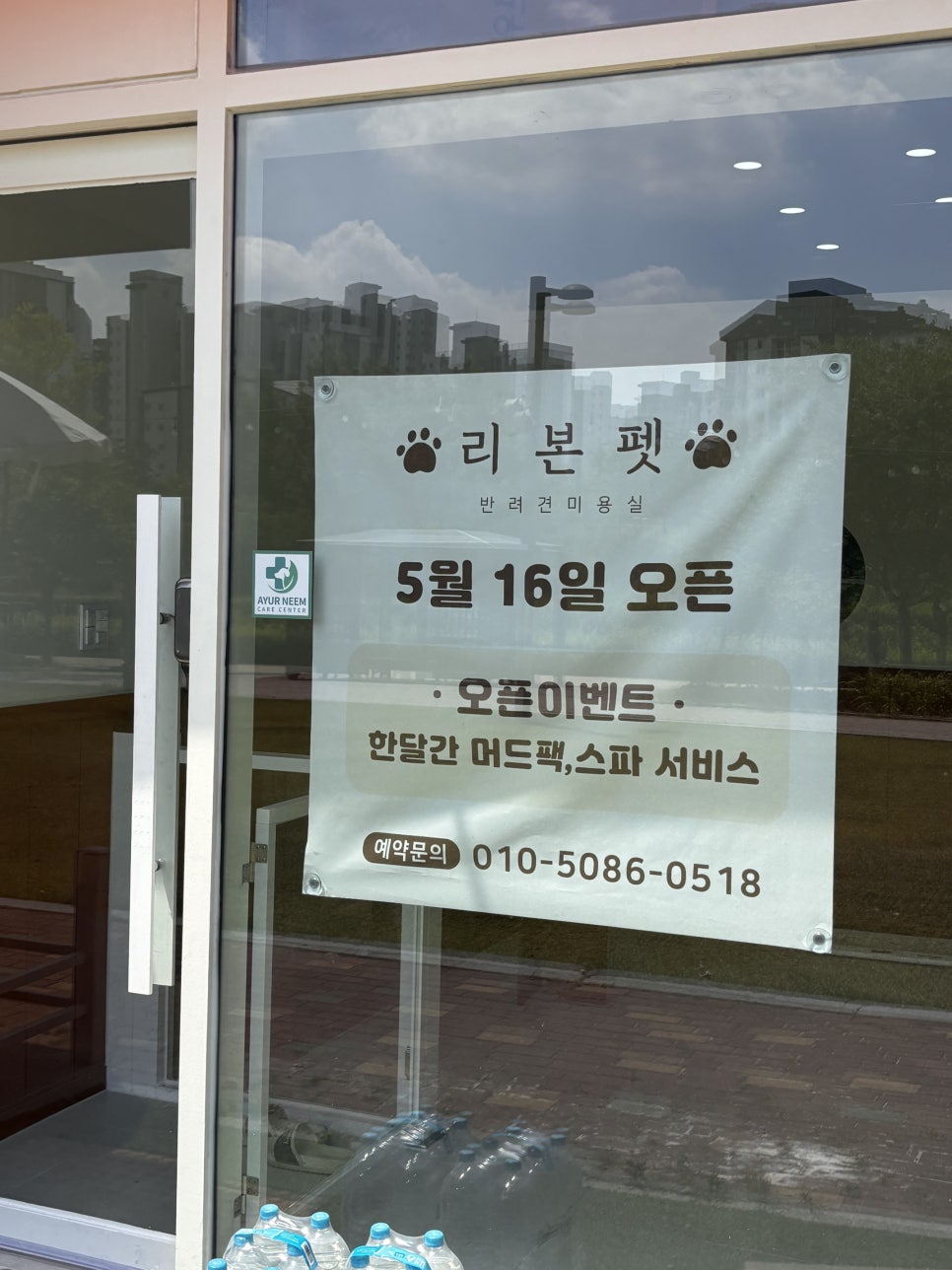 동탄 말티즈 미용, 리본펫 6mm 클리핑 후기 및 가격 — 사진 3