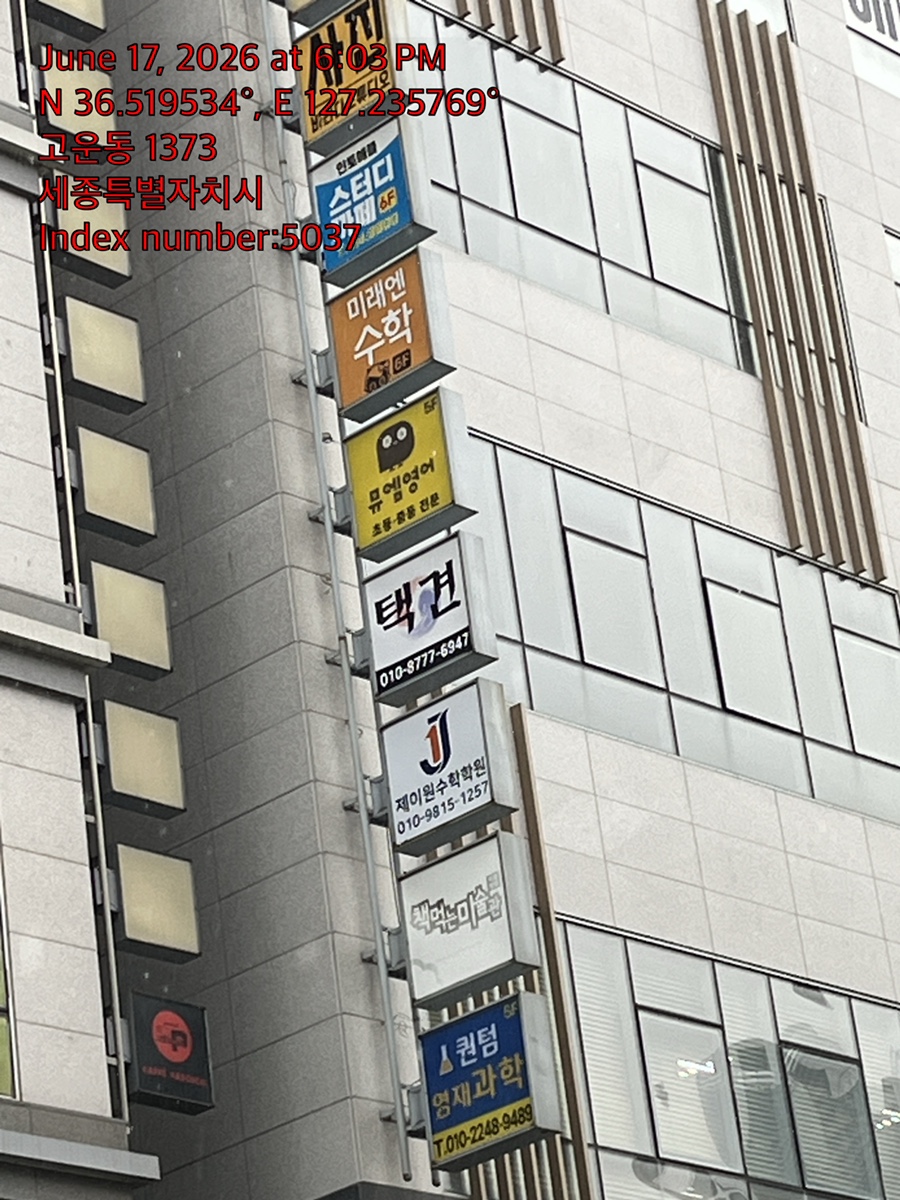 강아지 슬개골 탈구, 수술 비용과 회복 과정 완벽 가이드 — 사진 5