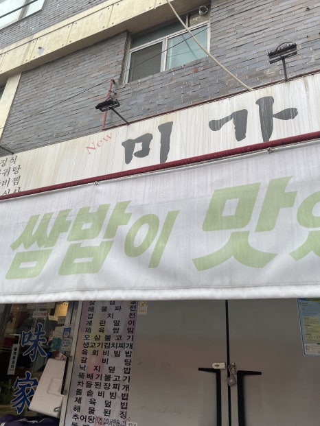 미가 사진 6
