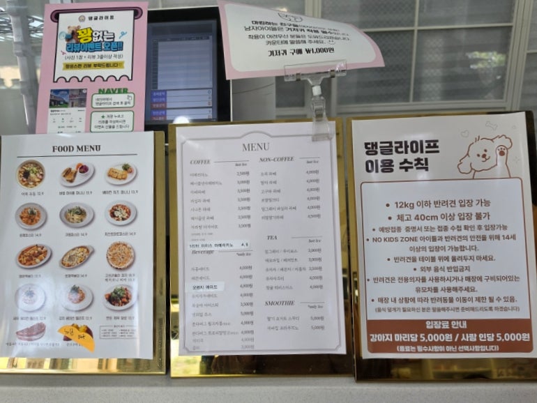 용인애견카페 댕글라이프, 강아지 동반 실내외 운동장 후기 — 사진 5