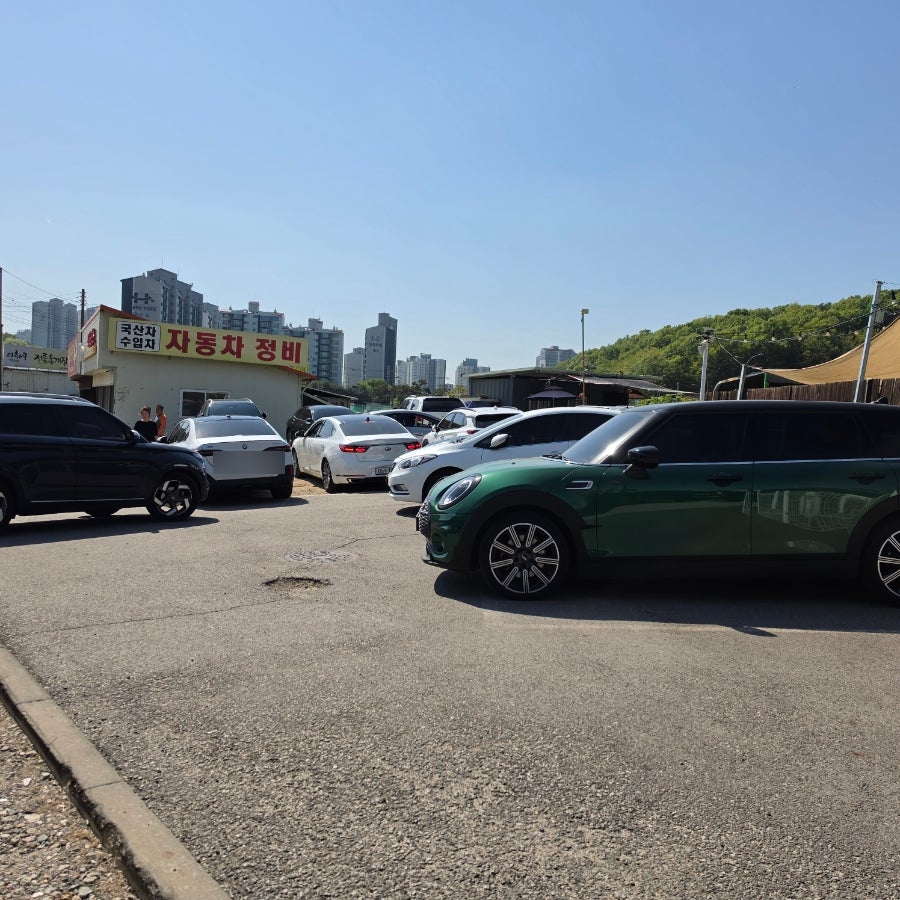 용인애견카페 댕글라이프, 강아지 동반 실내외 운동장 후기 — 사진 3