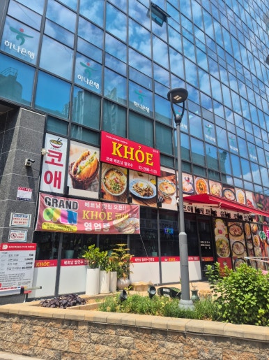 코애 사진 6