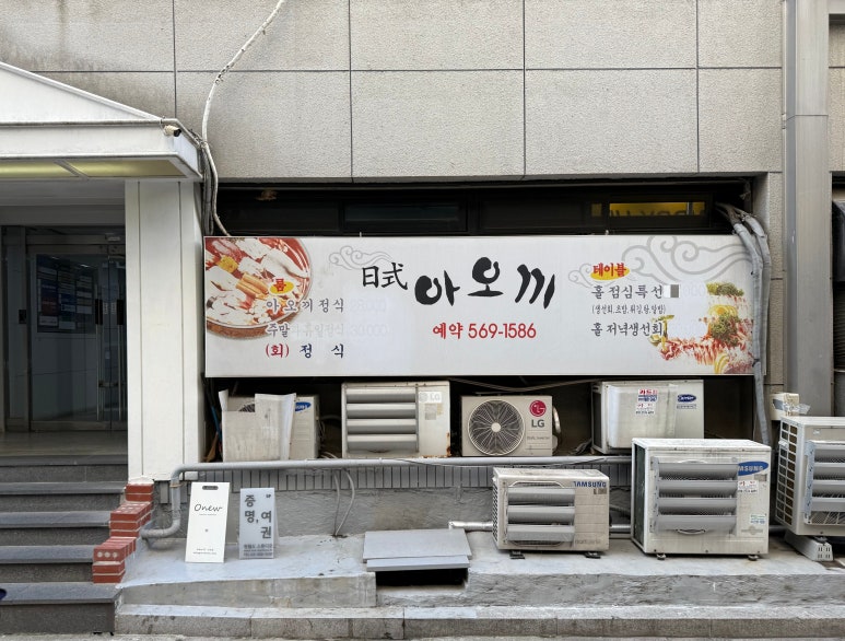 아오끼 사진 5