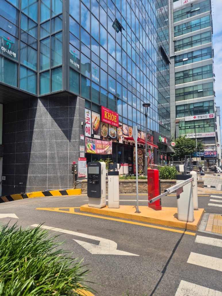 코애 사진 7