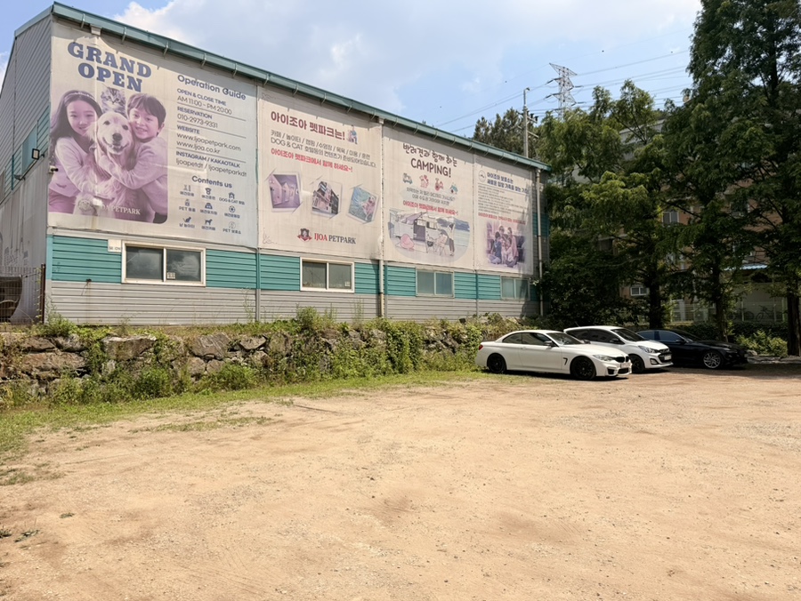 화성 애견카페 강아지 수영장, 아이조아펫파크 솔직 후기
