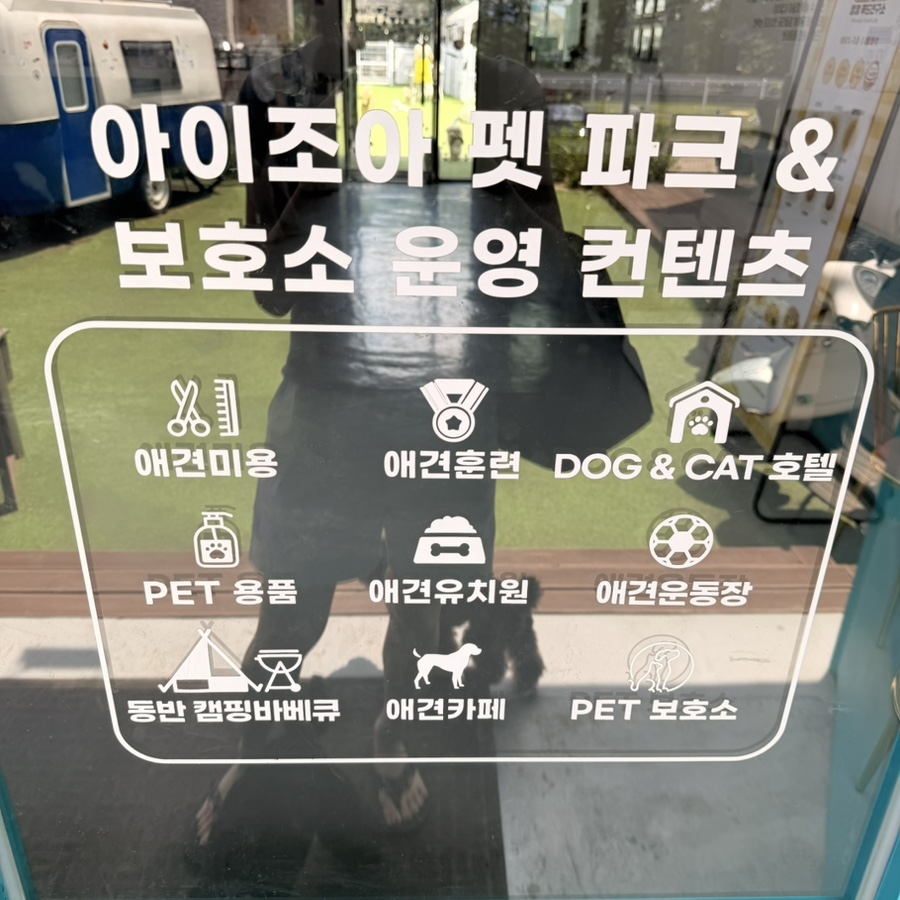 화성 애견카페 강아지 수영장, 아이조아펫파크 솔직 후기 — 사진 11