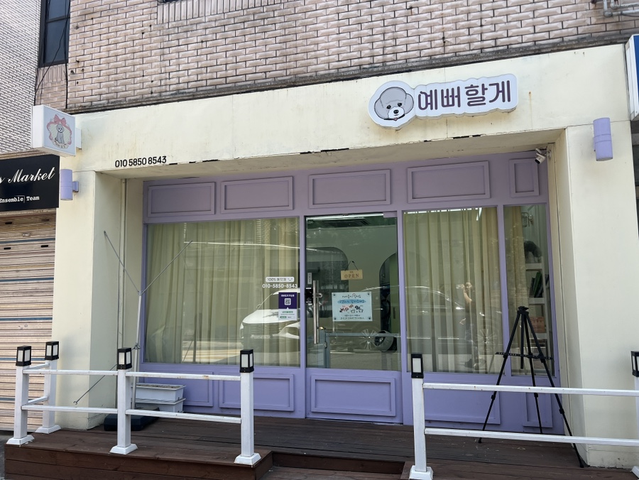 말티푸 스포팅 미용: 송파 예뻐할게펫살롱 후기 — 사진 5