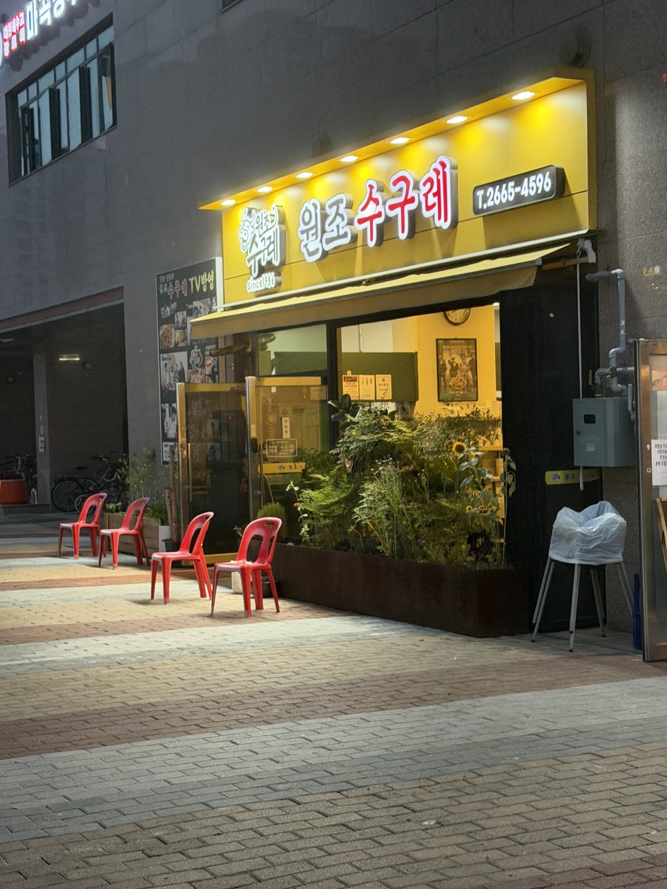 원조수구레 사진 8