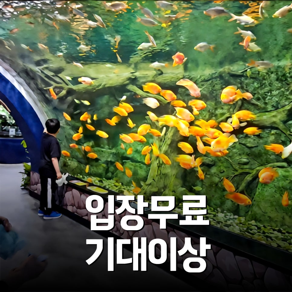 삼척 민물고기 전시관: 아이와 함께하는 강원도 가족 여행 코스