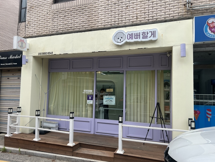 말티푸 스포팅 미용: 송파 예뻐할게펫살롱 후기 — 사진 6