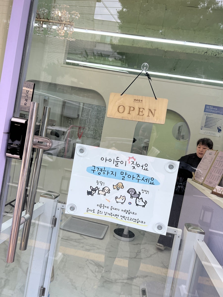 말티푸 스포팅 미용: 송파 예뻐할게펫살롱 후기 — 사진 7