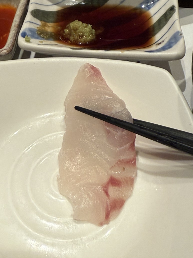아오끼 사진 4