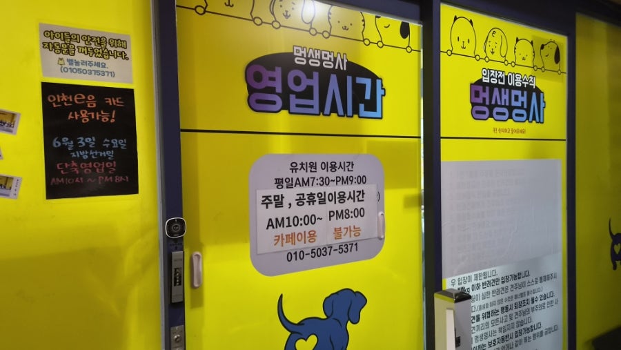 인천 굴포천 애견유치원 '멍생멍사' 데이케어 후기 — 사진 3