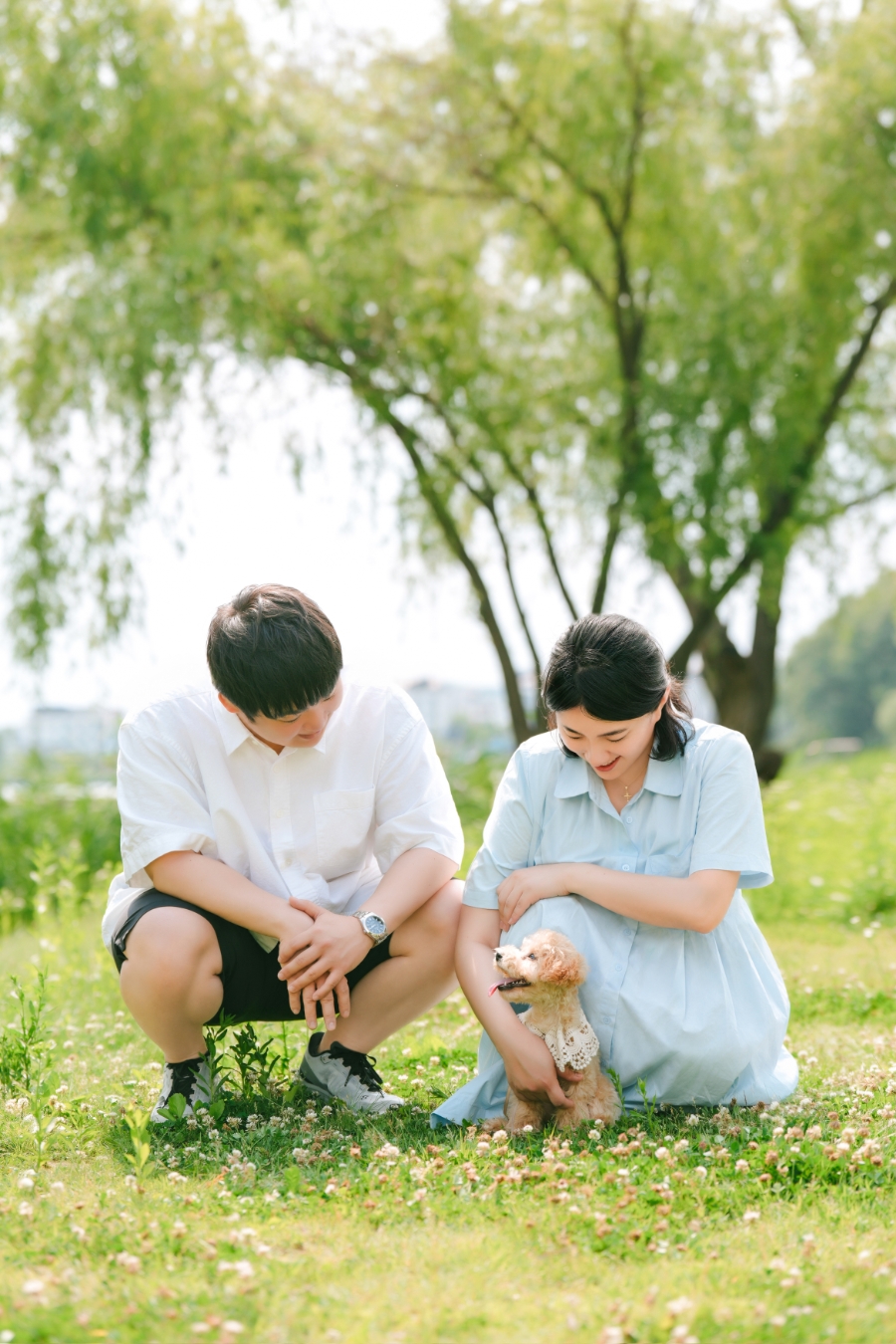 동탄 강아지 스냅사진, 헤이쏠스튜디오 야외촬영 후기 — 사진 2