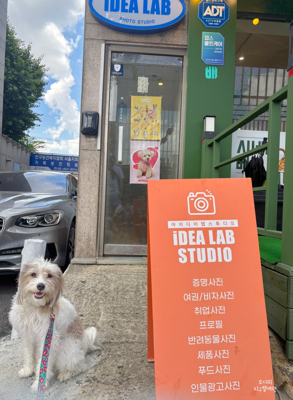 서울 강아지 사진관 견생9컷 촬영 비용 및 후기 — 사진 2