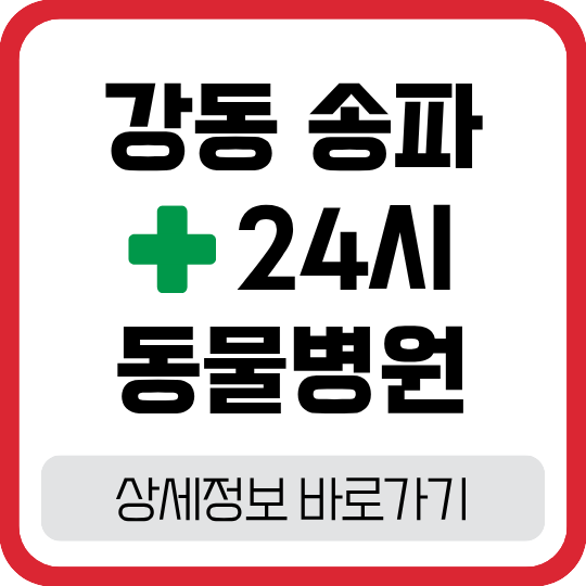 서울 강동·송파·광진 24시 동물병원: 야간 응급 진료 안내